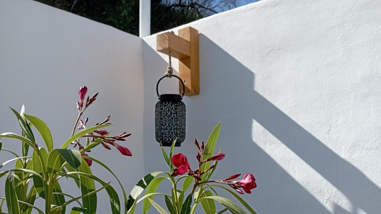 Casa Maliyaa Lägenhet Almáchar Exteriör bild